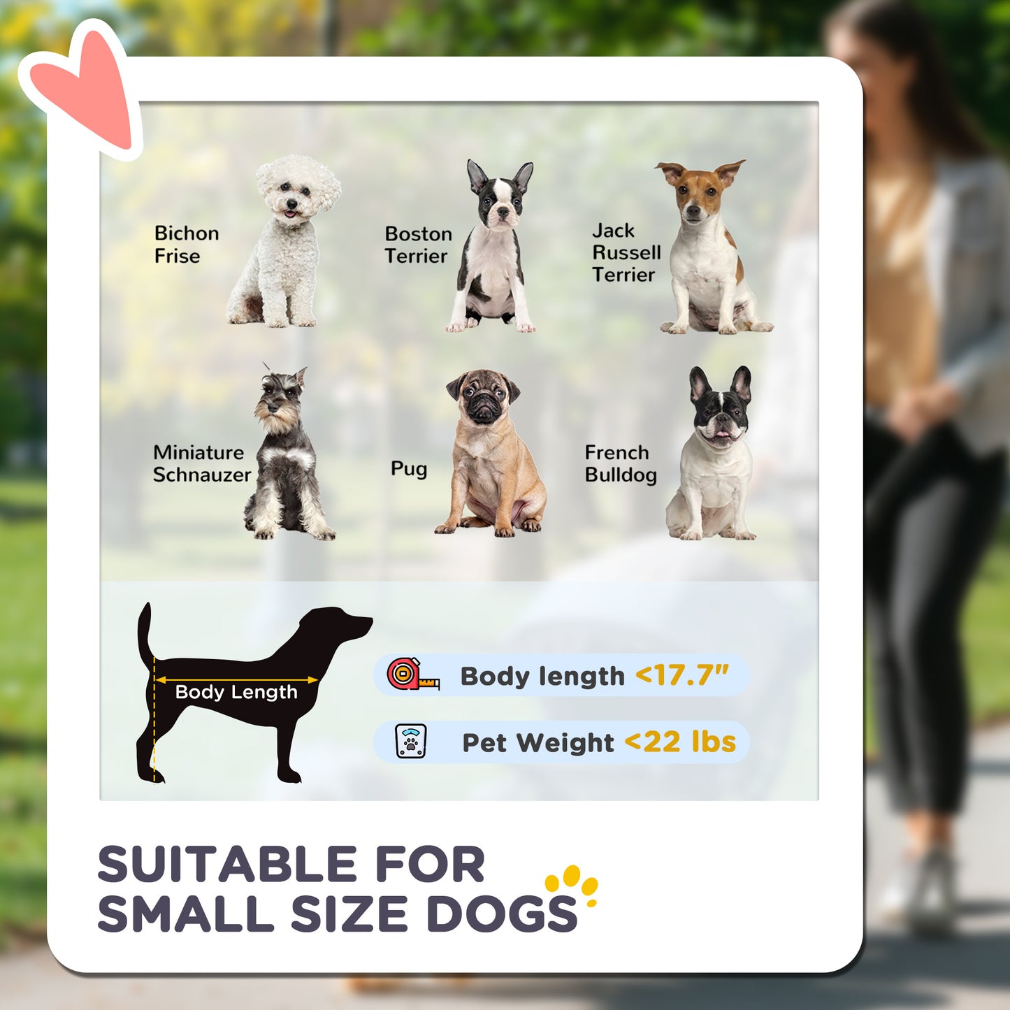 3 In 1 Pet Stroller
