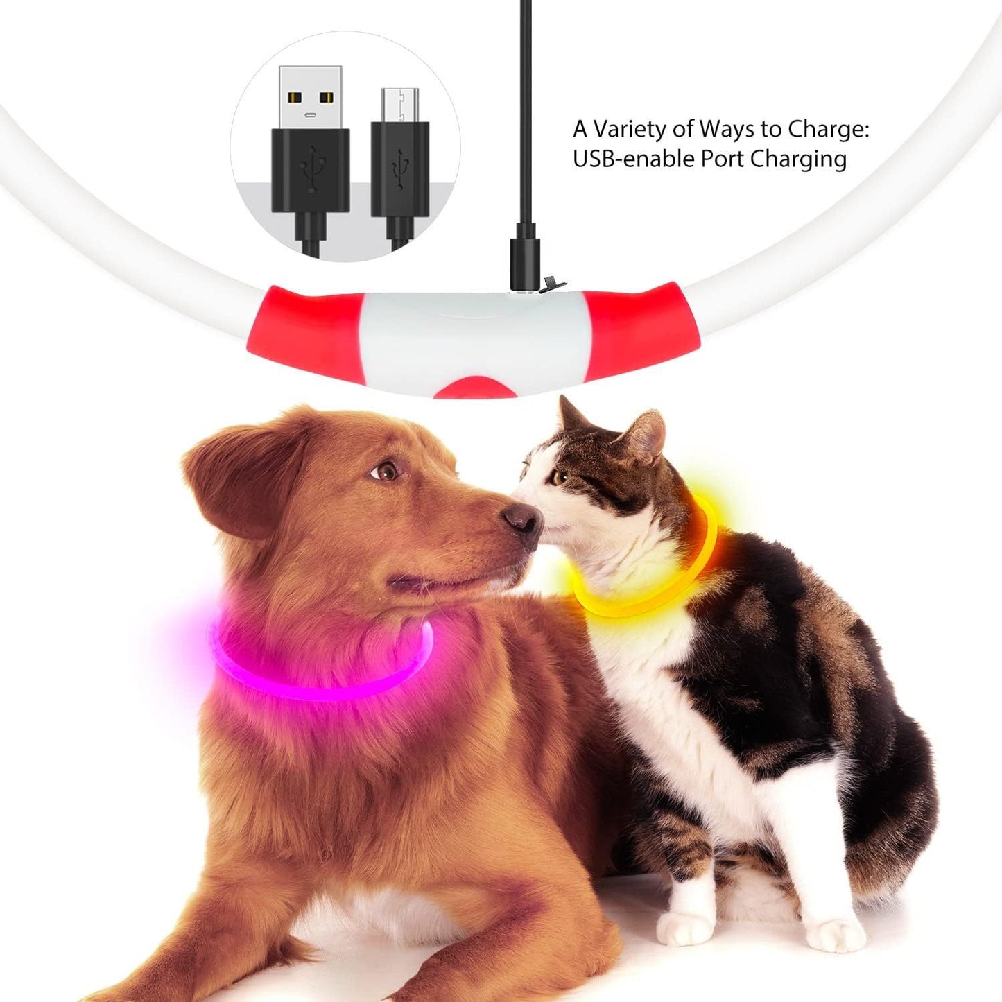 LED Glowing Pet Collars