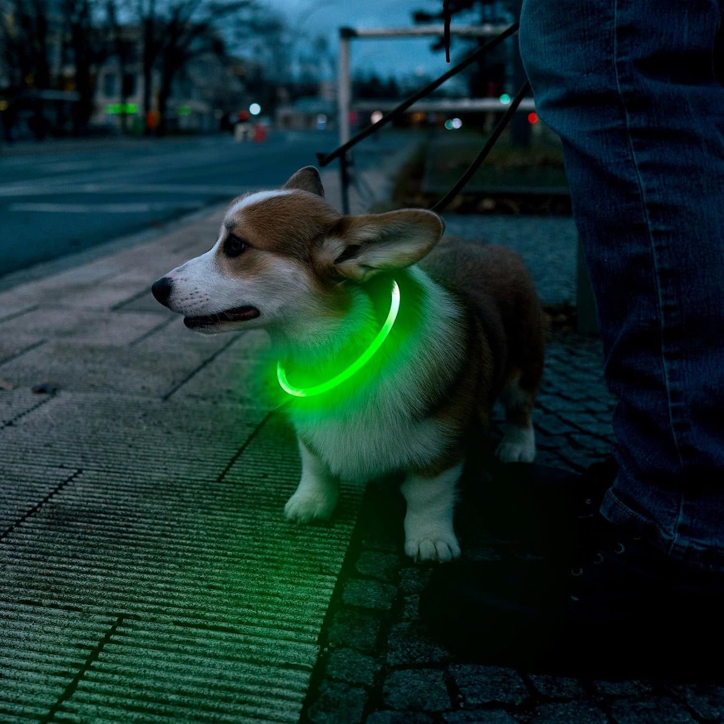 LED Glowing Pet Collars