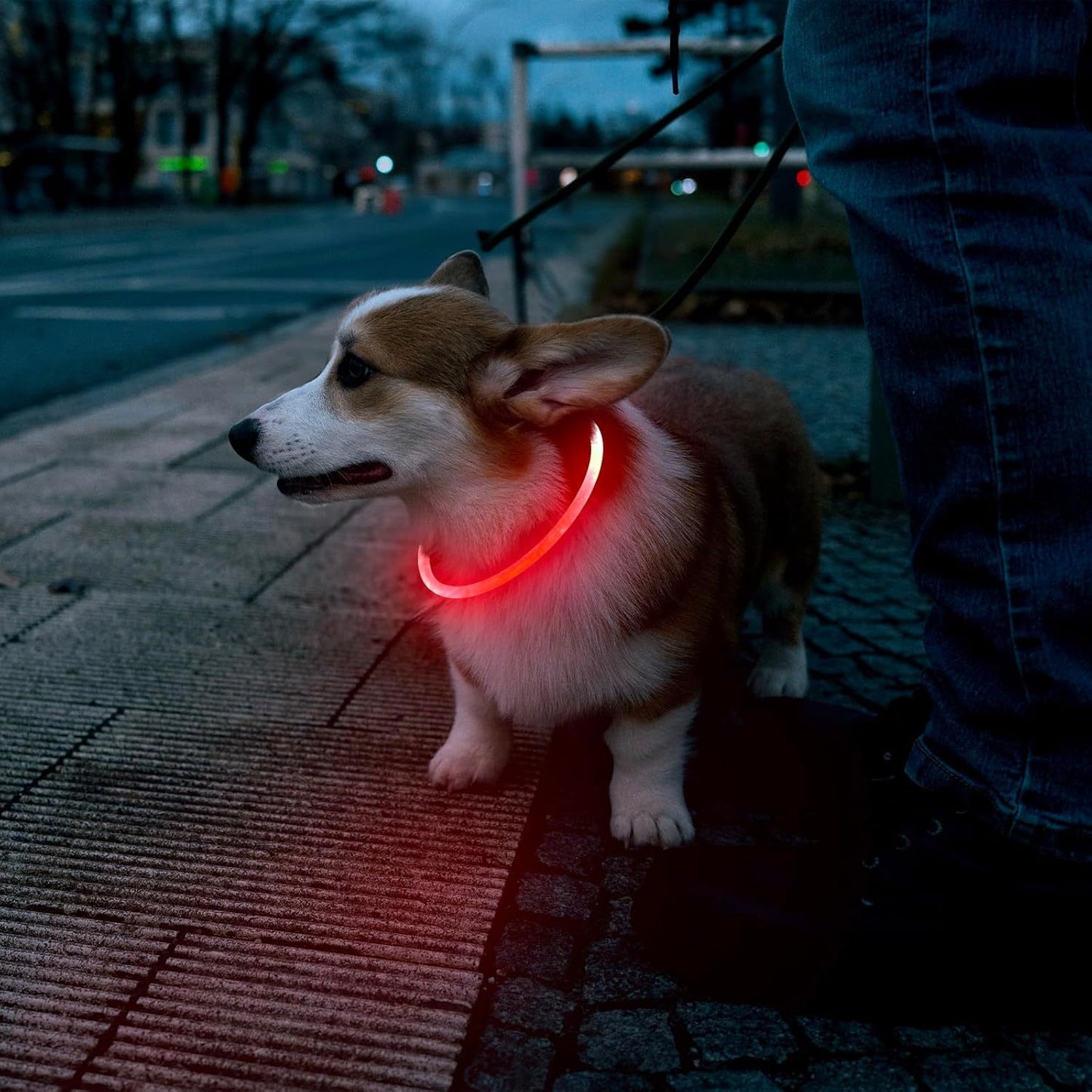 LED Glowing Pet Collars