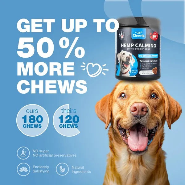 Calming Chews For Dogs