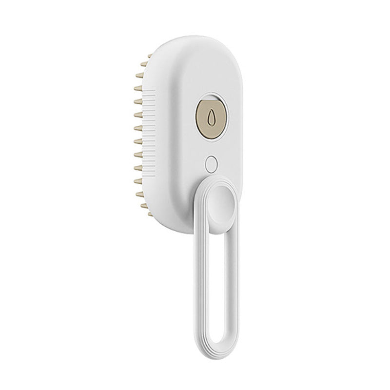 3 In 1 Electric Spray Hair Brush