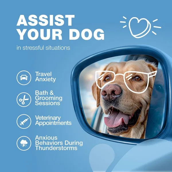 Calming Chews For Dogs