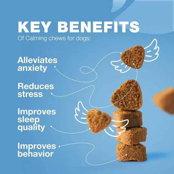 Calming Chews For Dogs